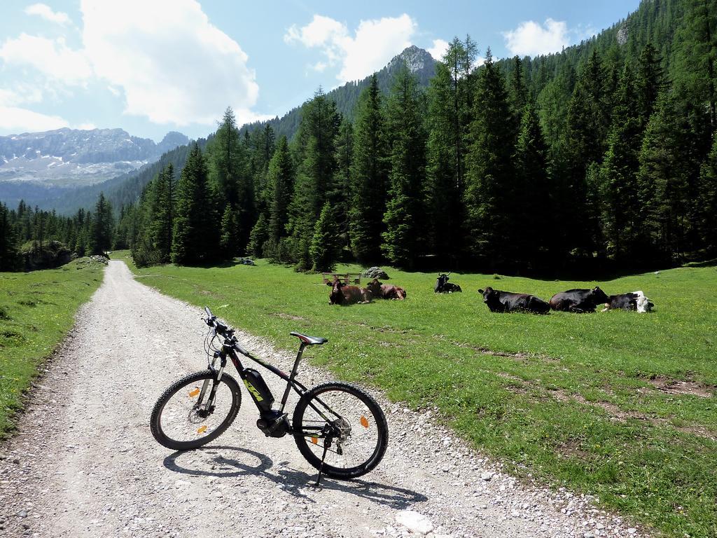 Appartamenti Majon Sotroi Campitello di Fassa Exteriör bild